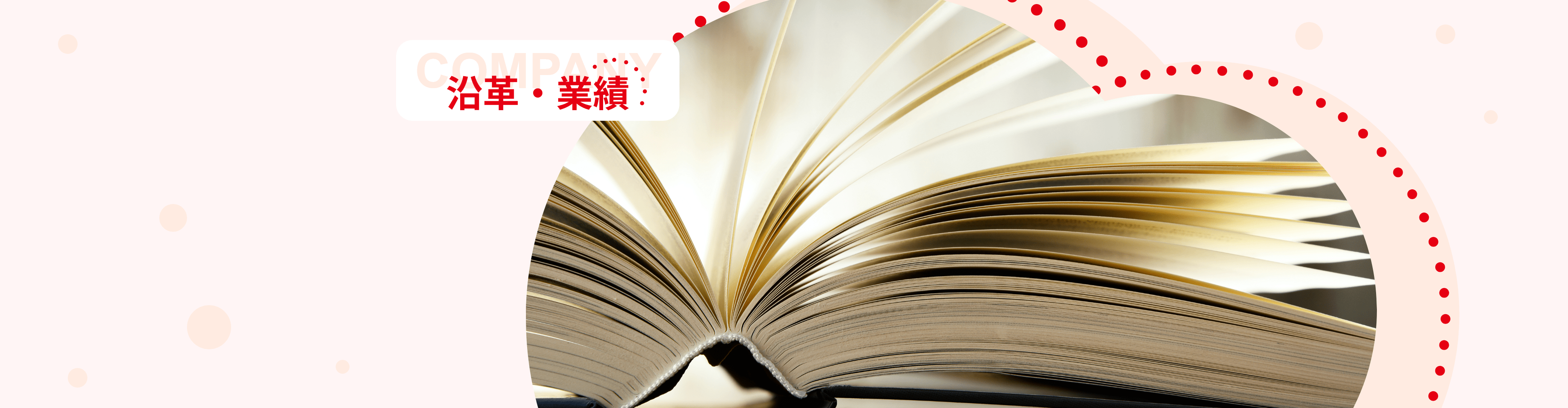 沿革・業績